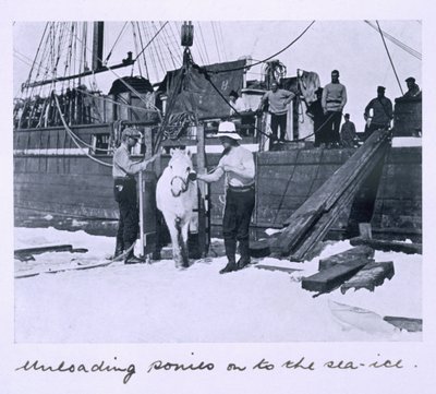 The Crew Unloading Ponies onto the Sea-Ice, from 